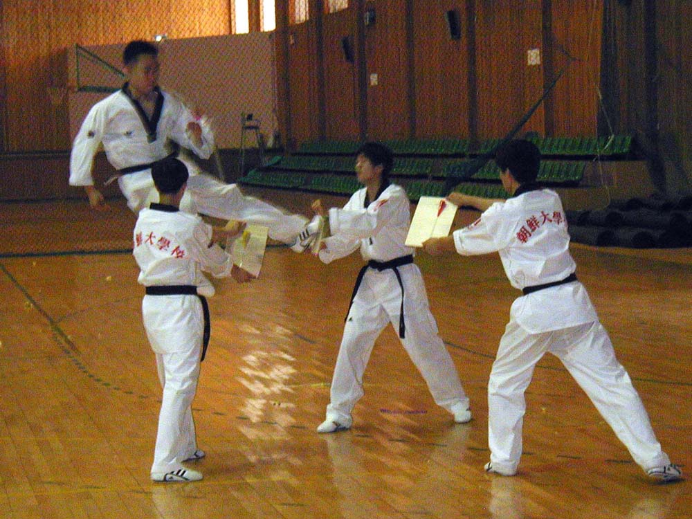 062_tkd_demo