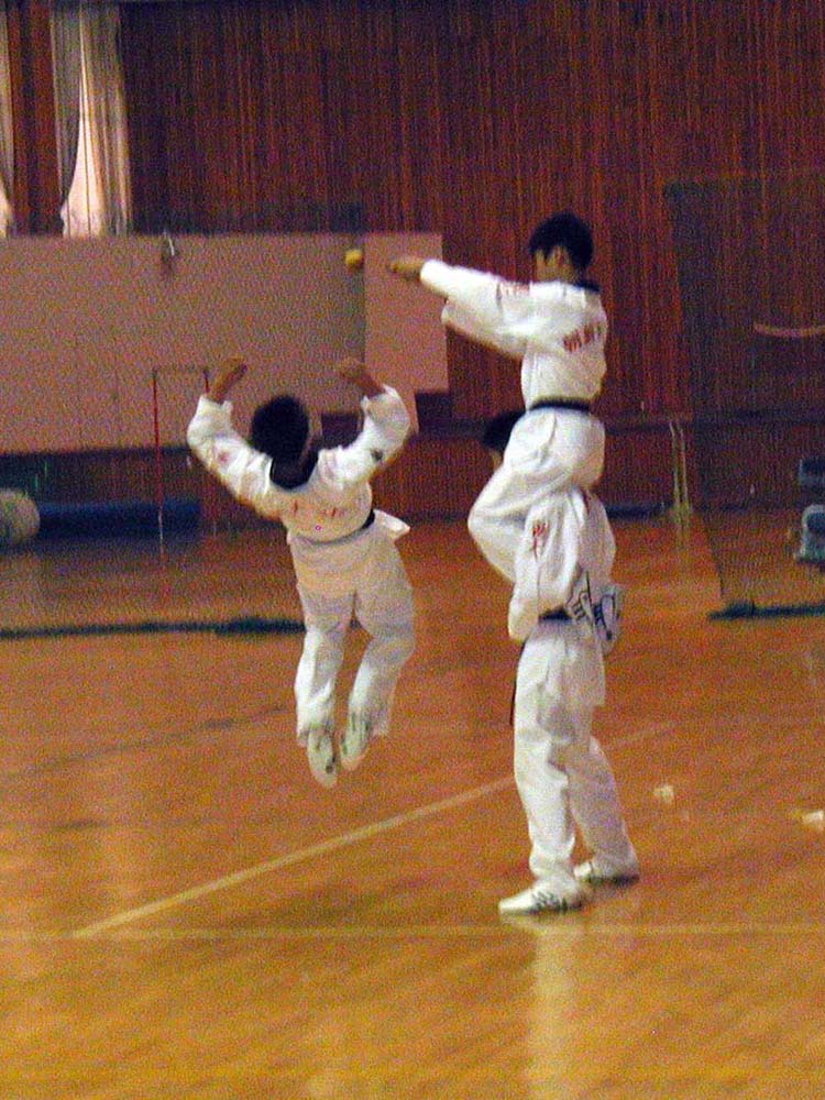 069_tkd_demo