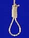 noose